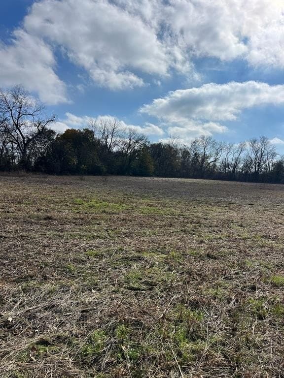8.67 acres in Fannin County - photo 4