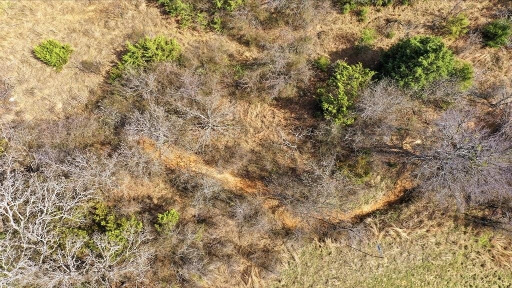 10 acres in Jack County - photo 16