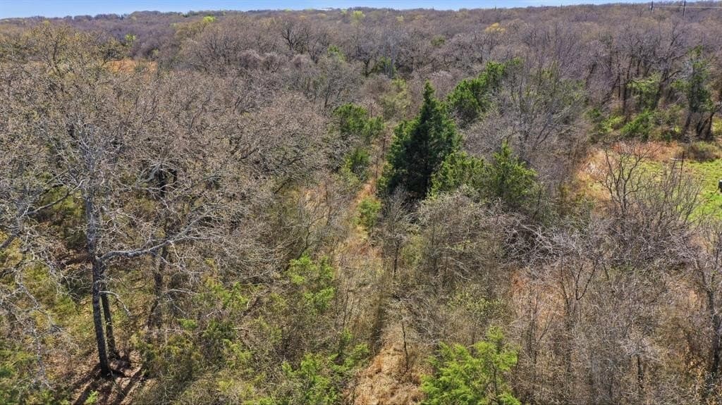 10 acres in Jack County - photo 13