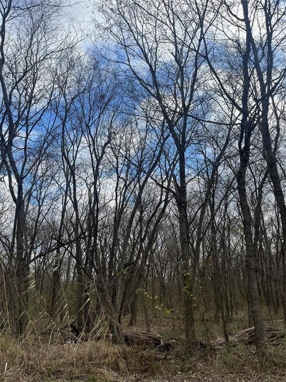 0.29 acres in Lamar County - photo 3