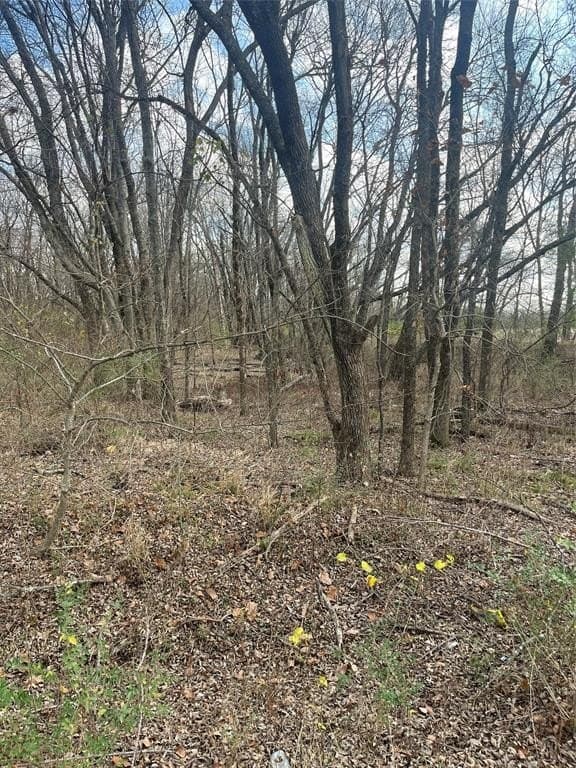 0.29 acres in Lamar County - photo 2