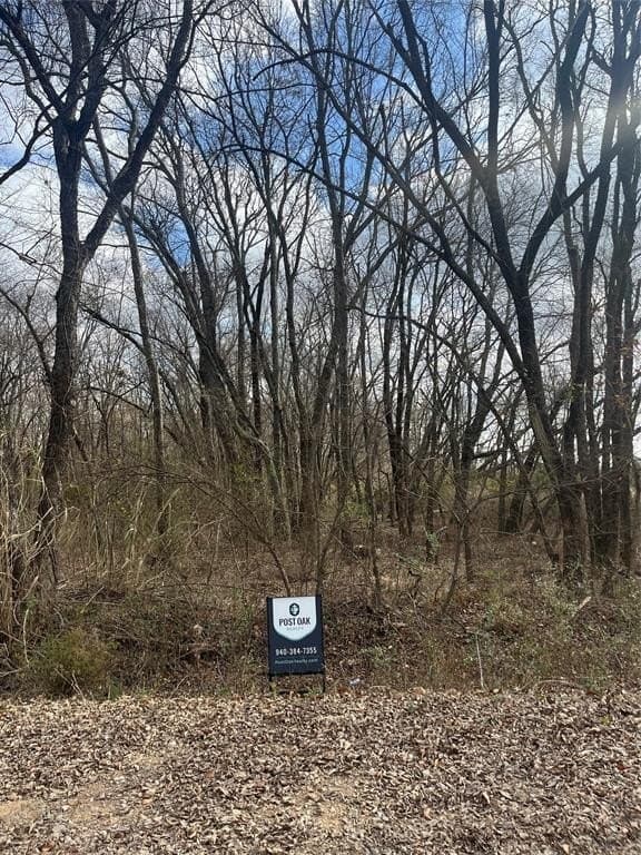 0.29 acres in Lamar County - photo 5