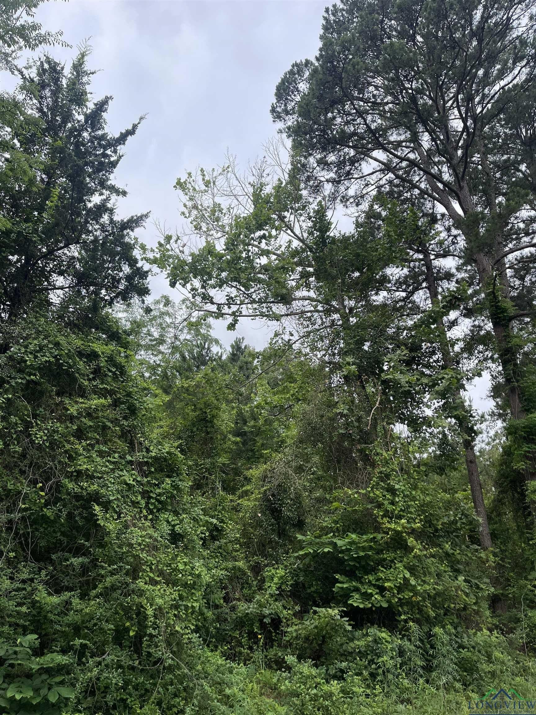 10.72 acres in Marion County - photo 2