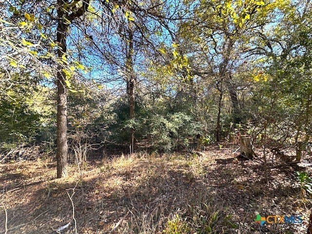 0.38 acres in Bastrop County - photo 5