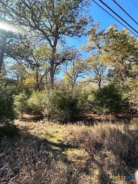 0.38 acres in Bastrop County - photo 3