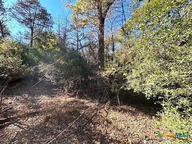 0.38 acres in Bastrop County - photo 4