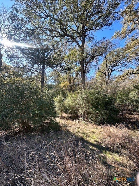0.38 acres in Bastrop County - photo 2