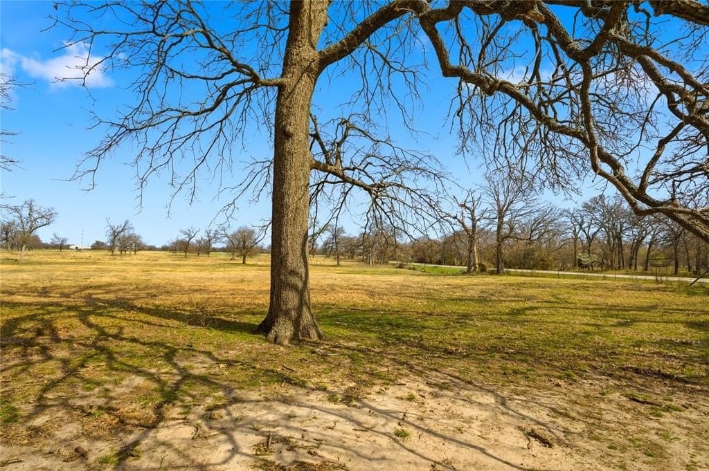 2 acres in Delta County - photo 6