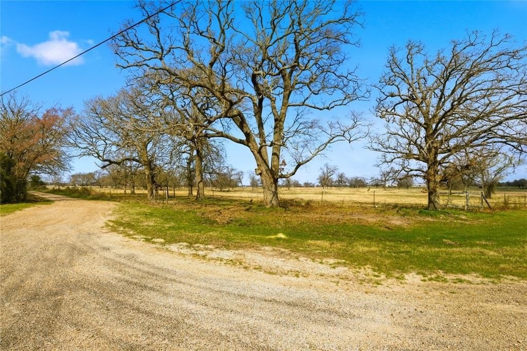 2 acres in Delta County - photo 3
