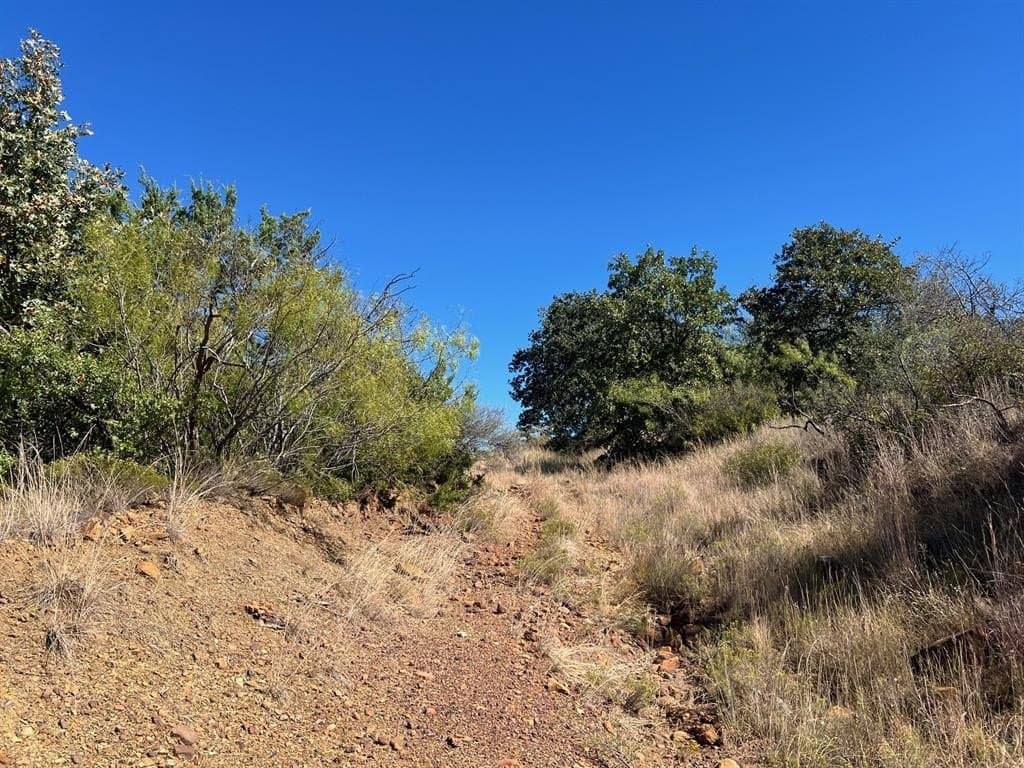 165 acres in Young County - photo 22