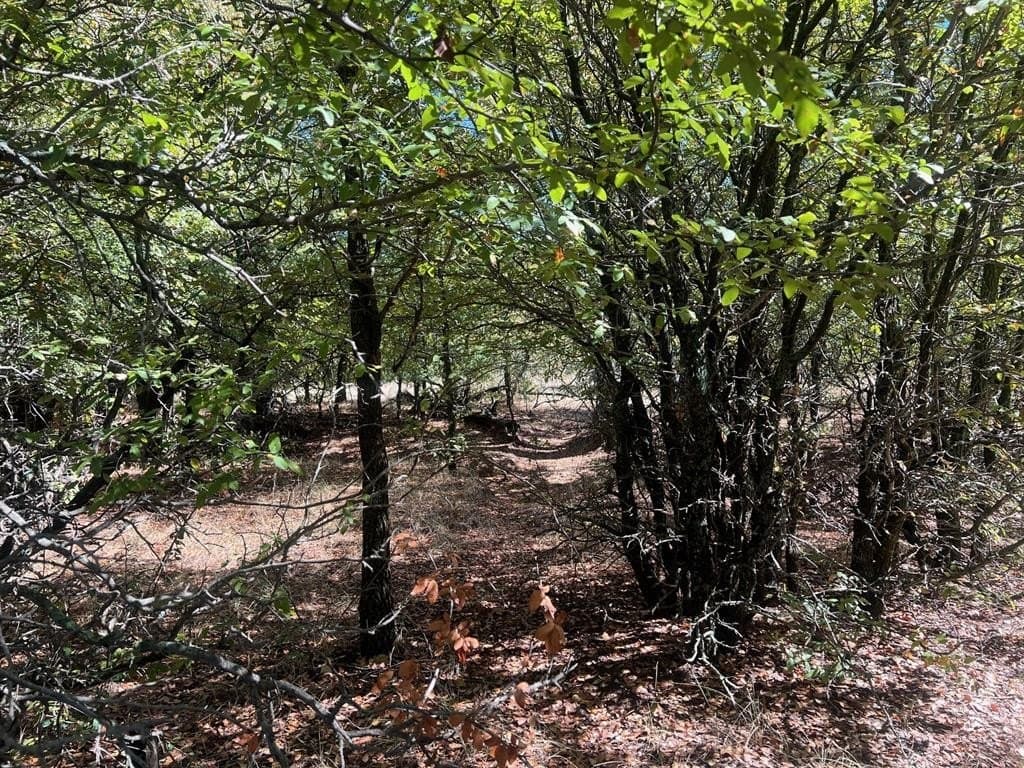Tbd Uselton Road