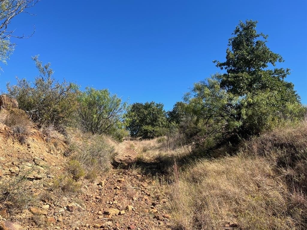 165 acres in Young County - photo 21