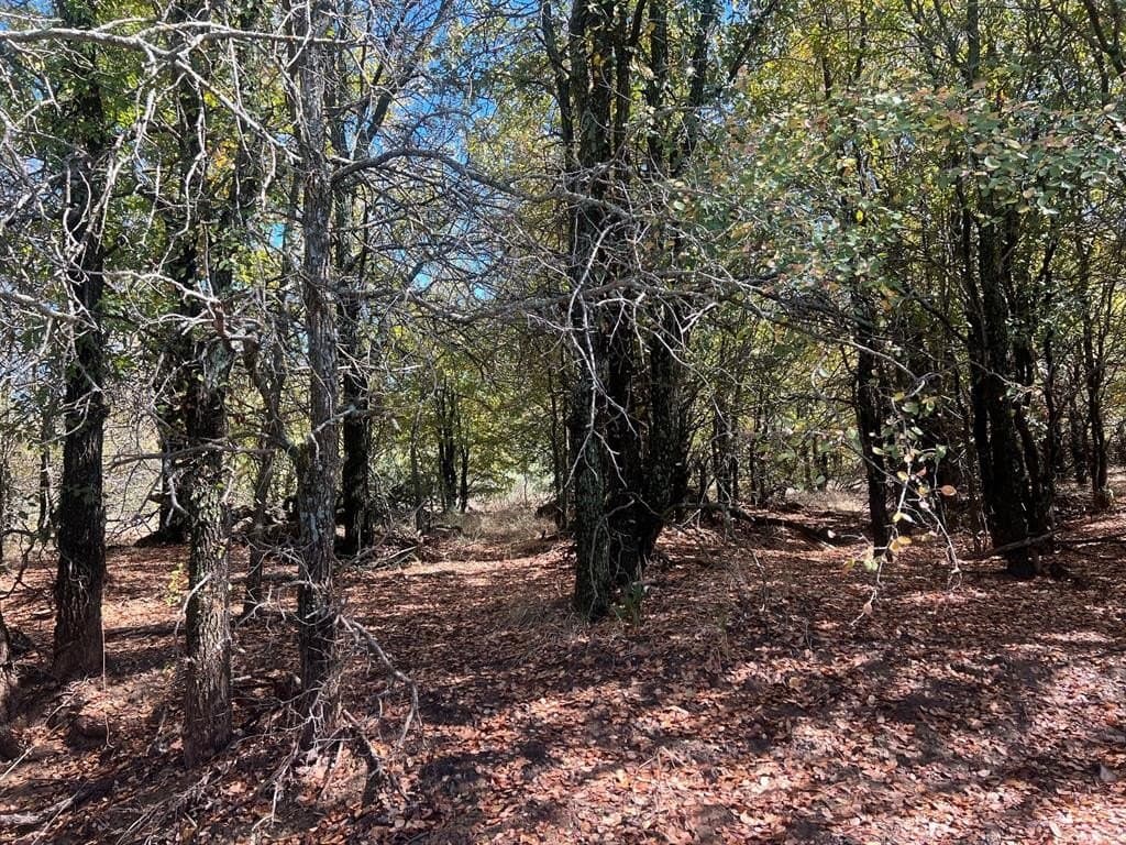165 acres in Young County - photo 9