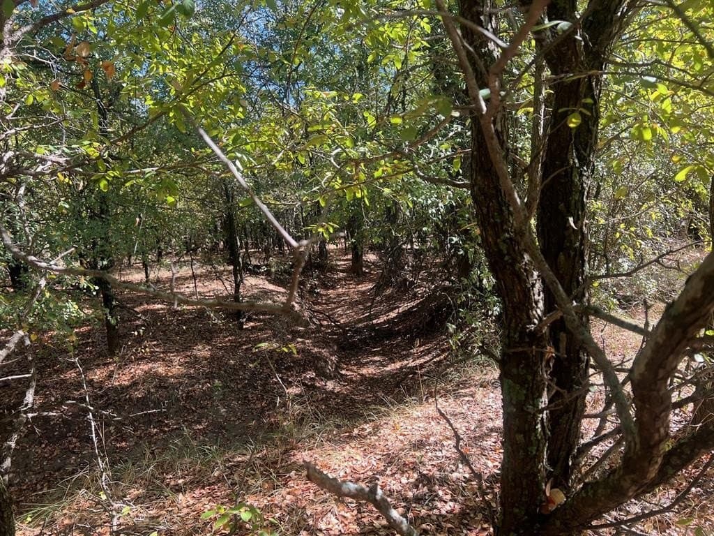 165 acres in Young County - photo 16
