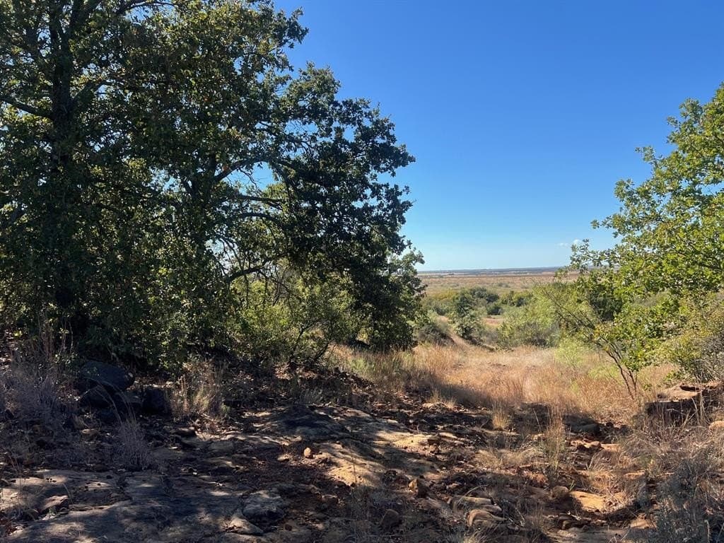 165 acres in Young County - photo 24