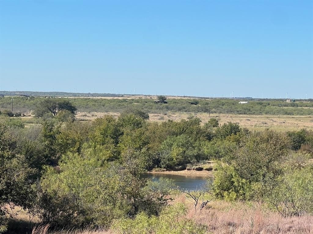 165 acres in Young County - photo 8
