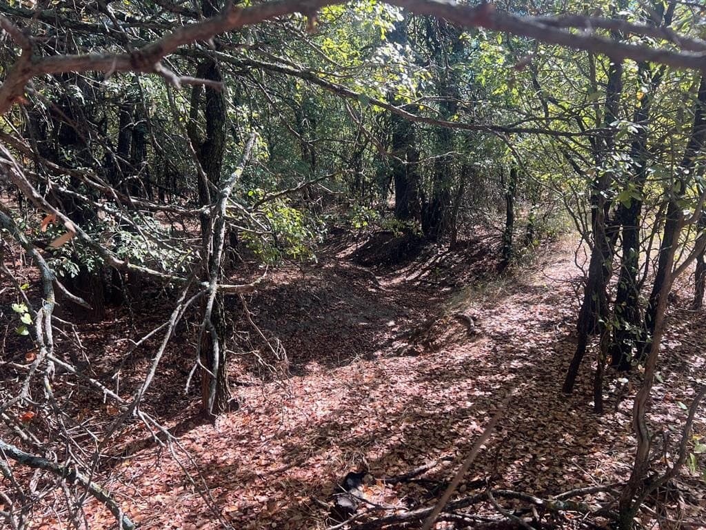 165 acres in Young County - photo 11