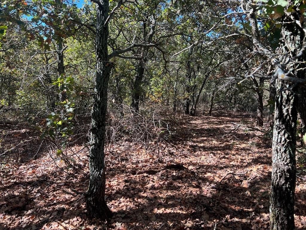 165 acres in Young County - photo 19