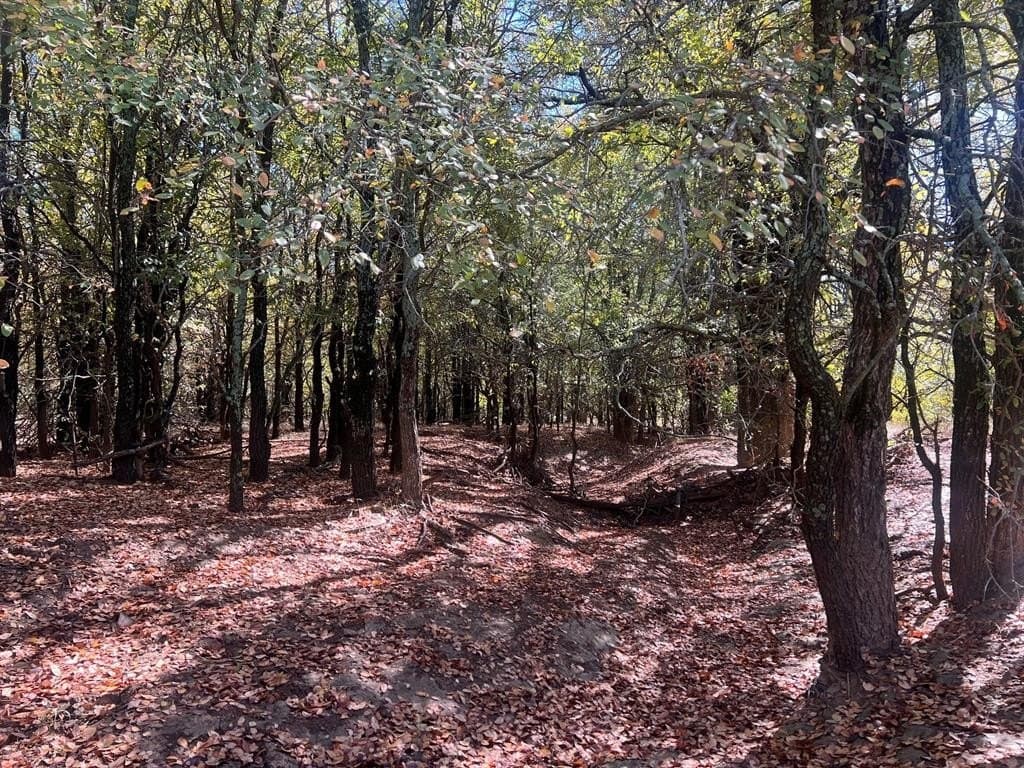 165 acres in Young County - photo 10