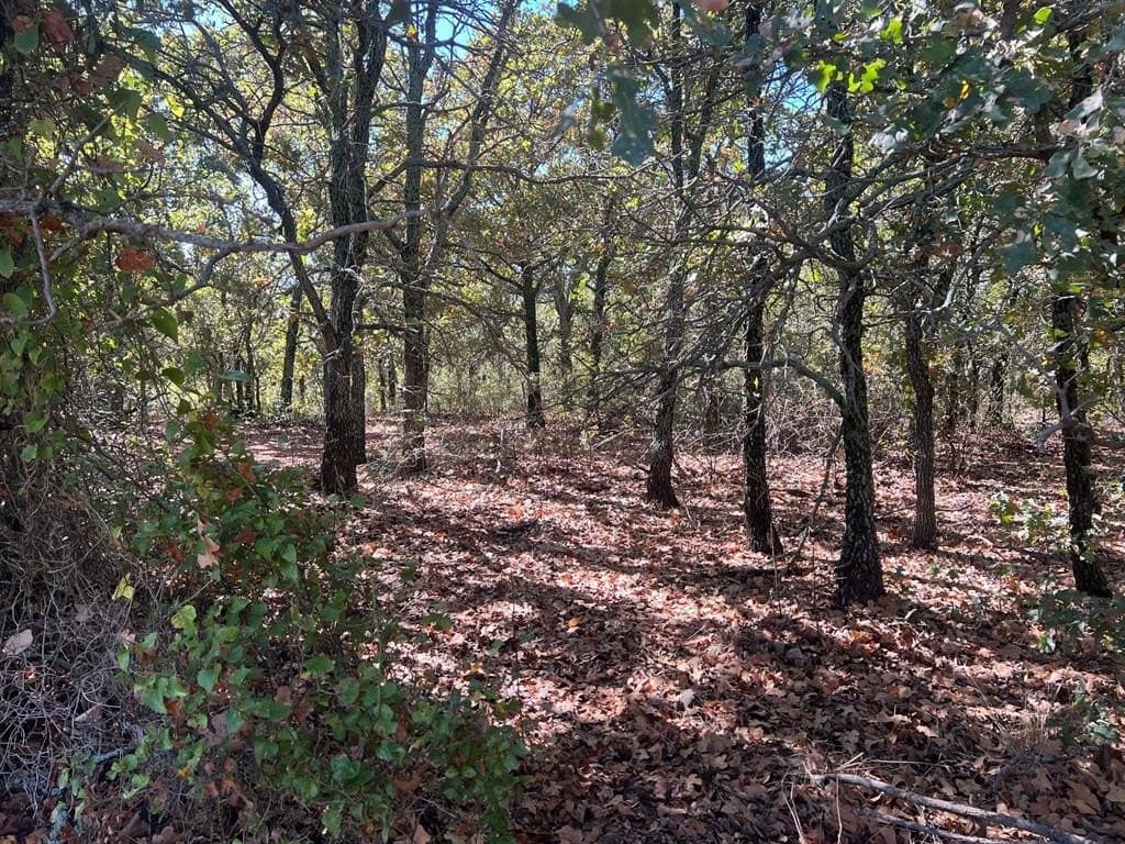 165 acres in Young County - photo 18