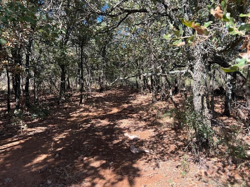 165 acres in Young County - photo 17