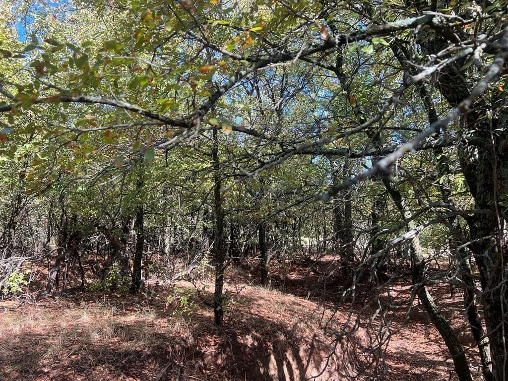 165 acres in Young County - photo 3