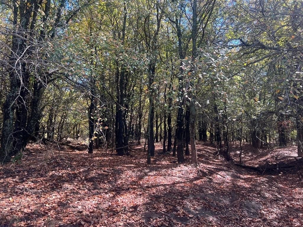 165 acres in Young County - photo 5