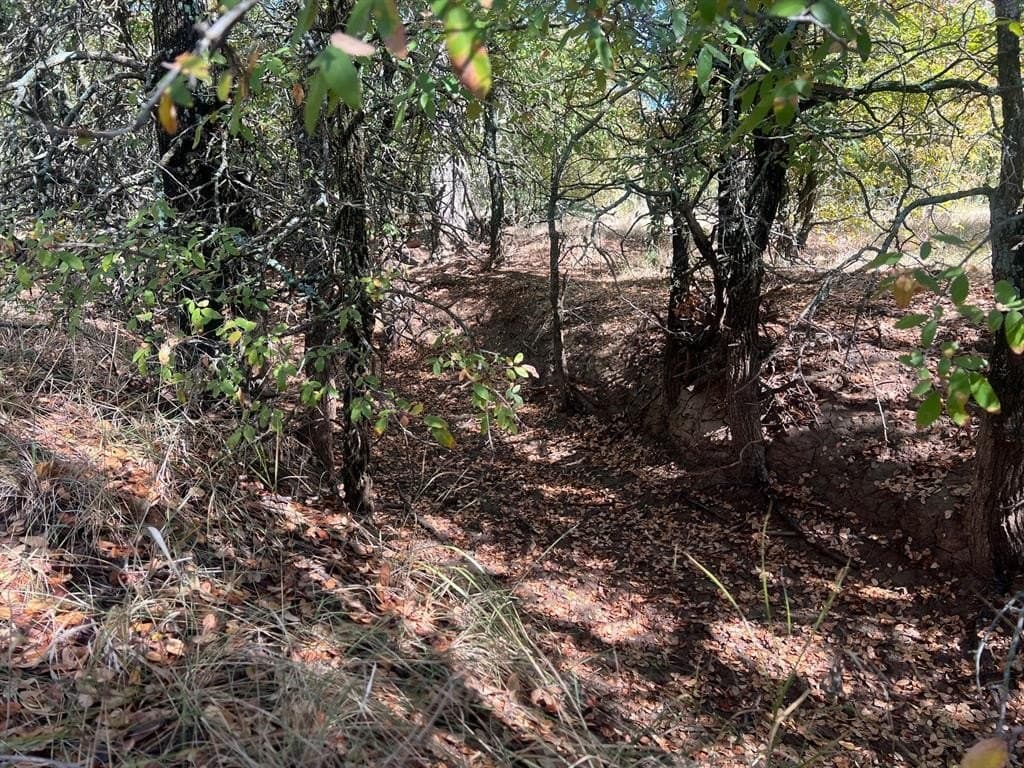 165 acres in Young County - photo 4
