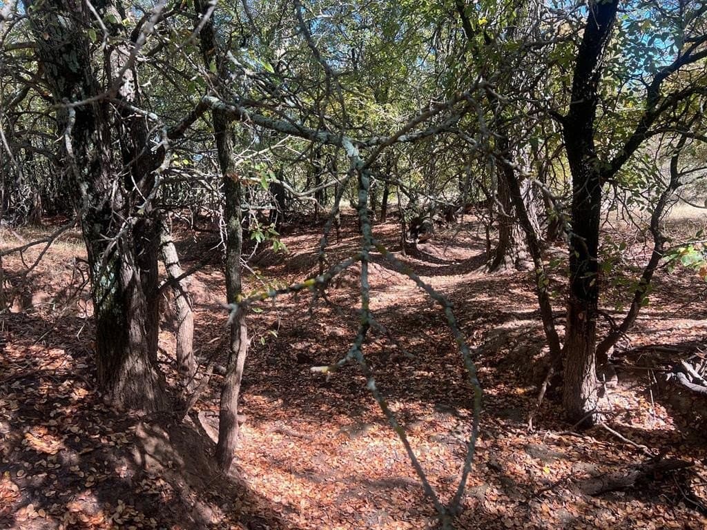 165 acres in Young County - photo 2