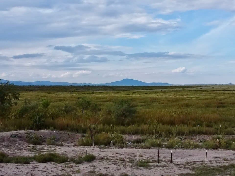 0.42 acres in Presidio County - photo 3