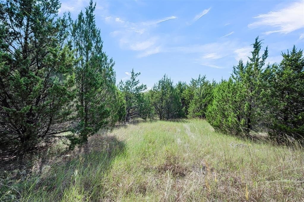 5.1 acres in Ellis County - photo 28