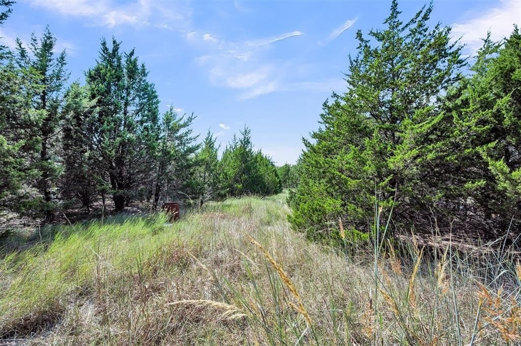 5.1 acres in Ellis County - photo 24