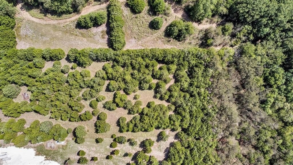 5.1 acres in Ellis County - photo 9