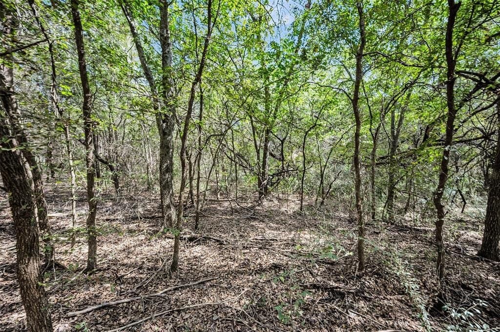 5.1 acres in Ellis County - photo 27