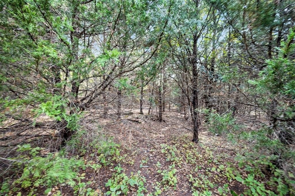 5.1 acres in Ellis County - photo 30