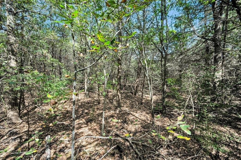 5.1 acres in Ellis County - photo 25