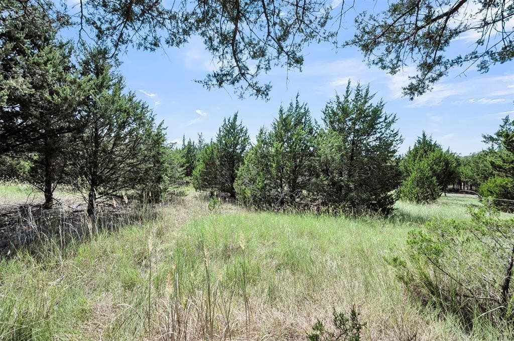 5.1 acres in Ellis County - photo 29
