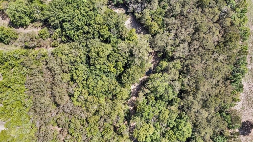 5.1 acres in Ellis County - photo 10
