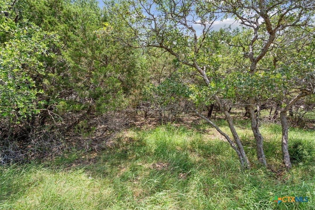 0.44 acres in Bell County - photo 7