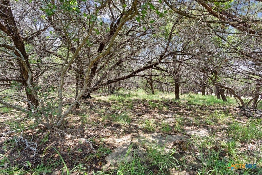 0.44 acres in Bell County - photo 8