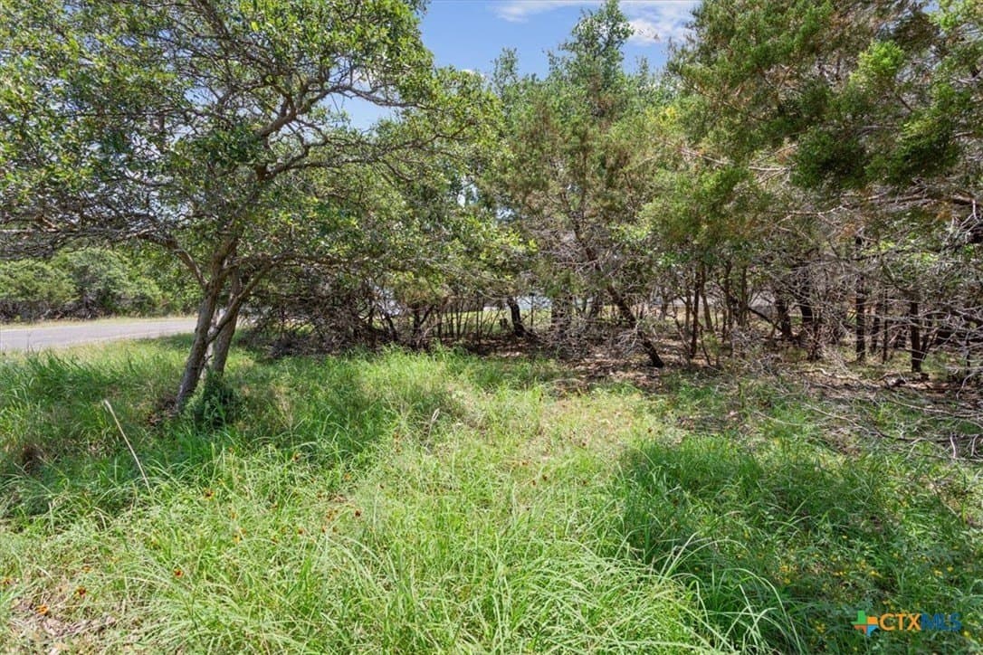0.44 acres in Bell County - photo 10