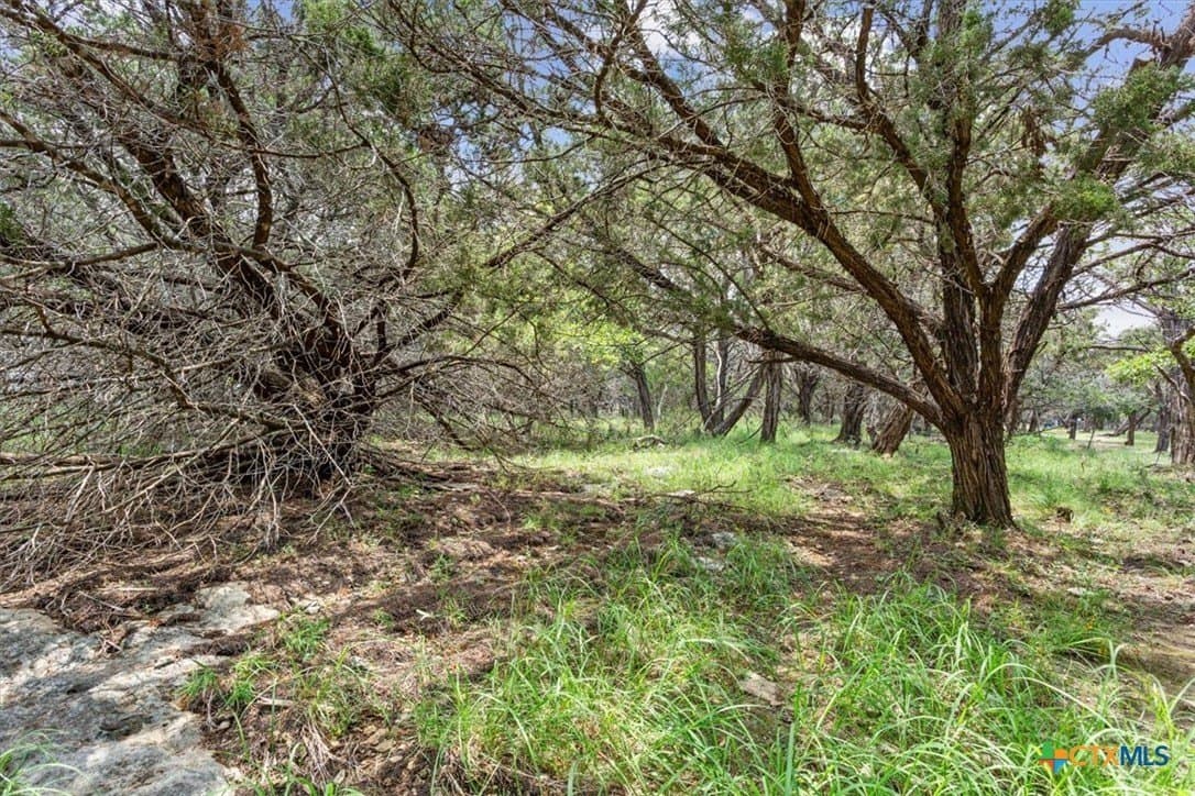 0.44 acres in Bell County - photo 9