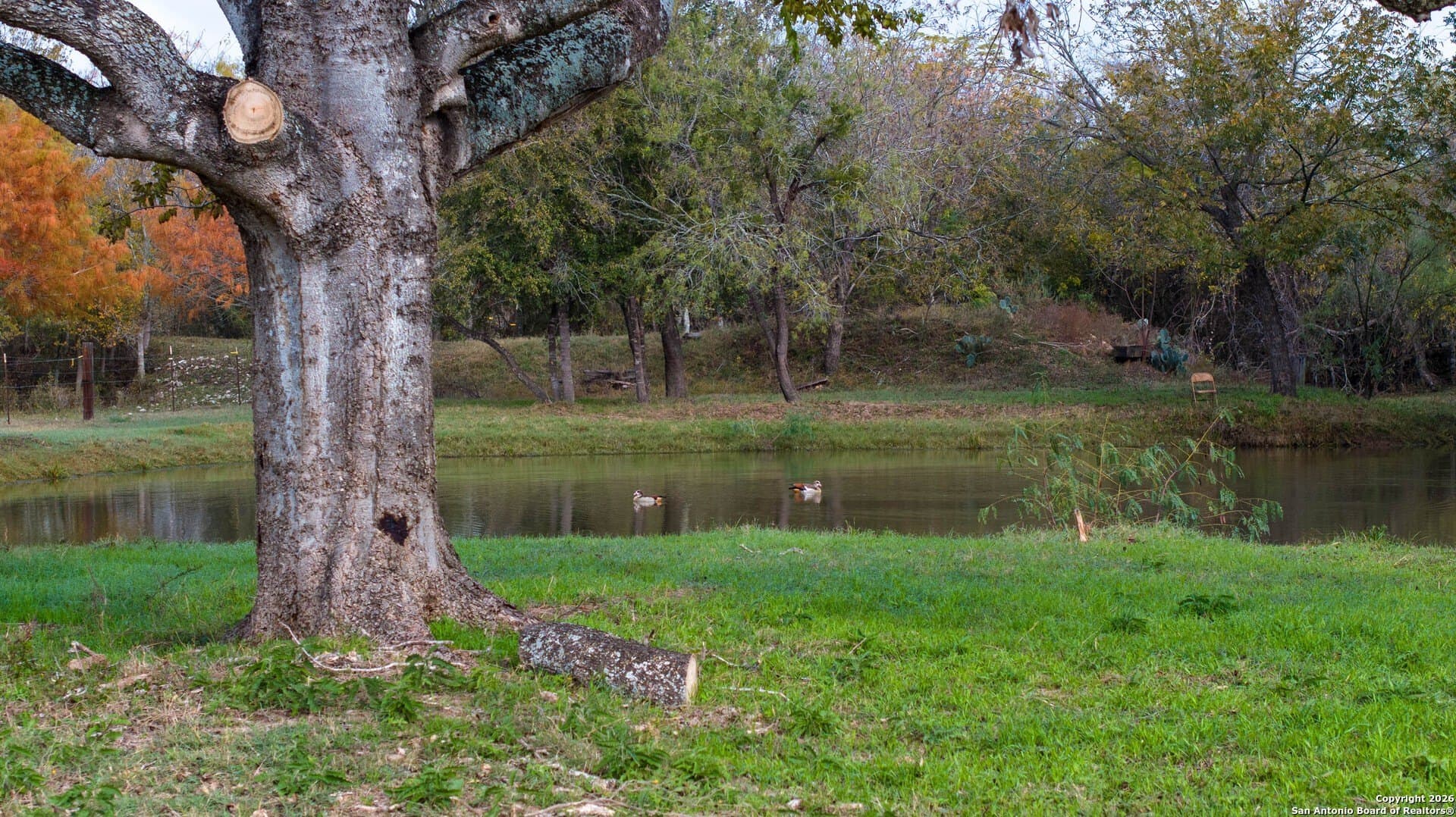 0 acres in Bexar County - photo 25