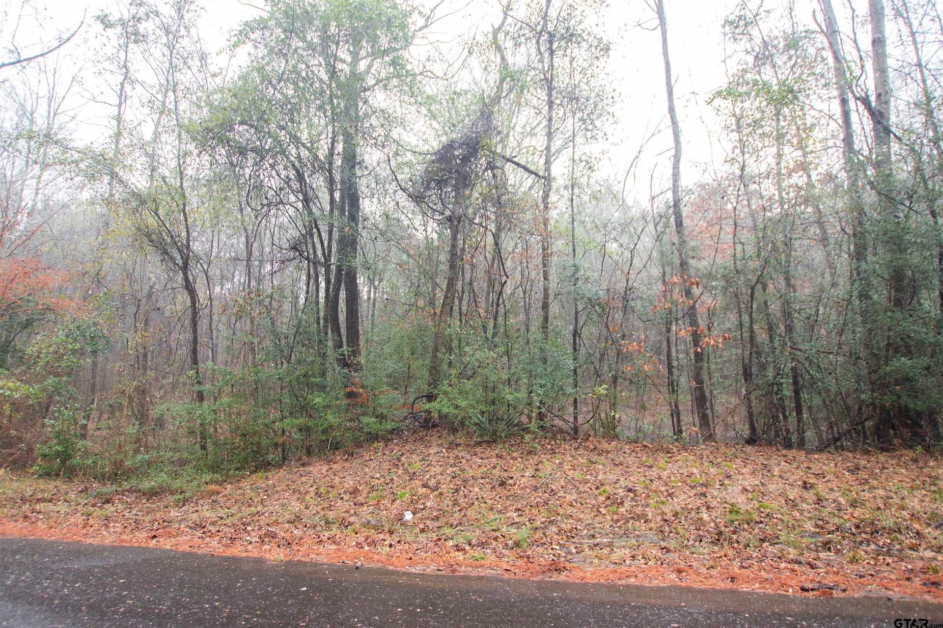 19.63 acres in Panola County - photo 5