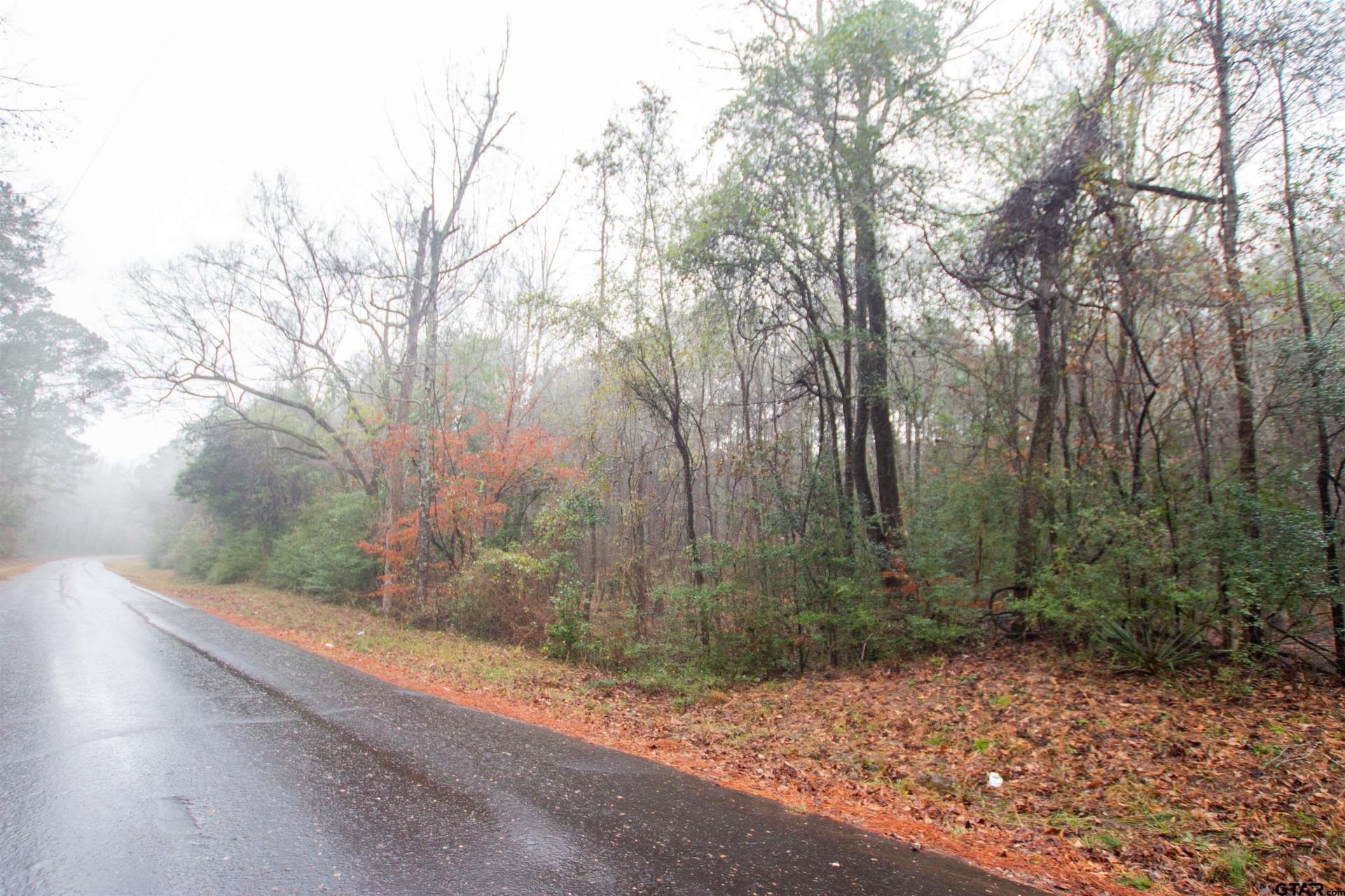 19.63 acres in Panola County - photo 2