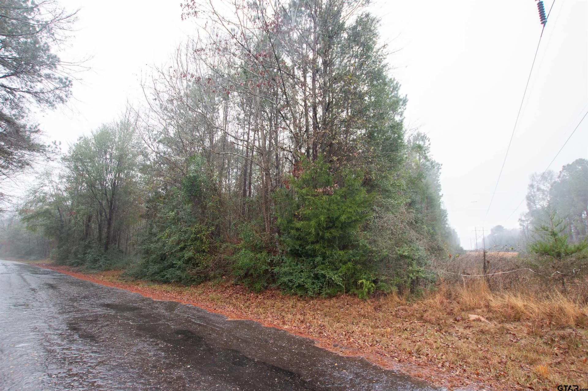 19.63 acres in Panola County - photo 3