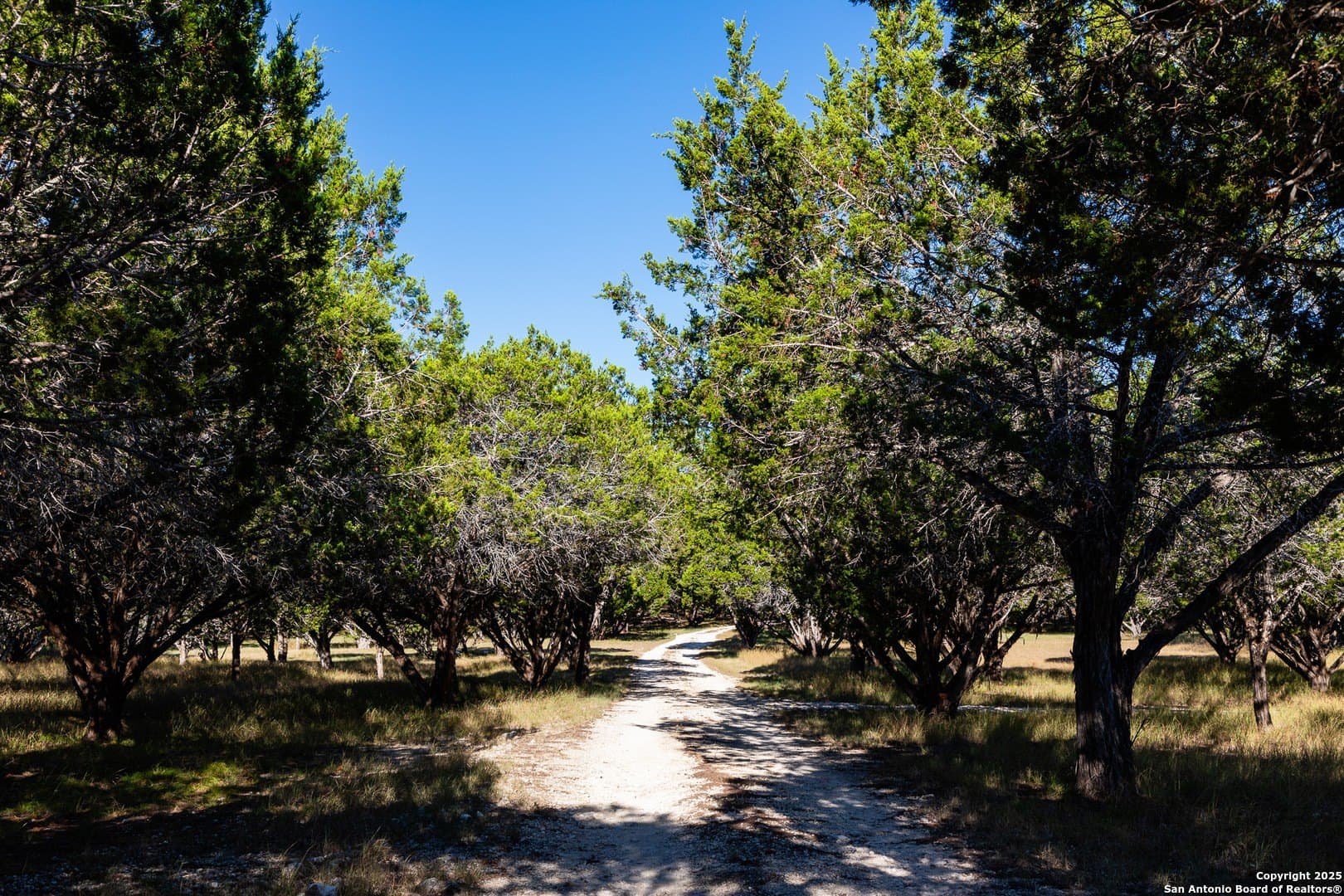 22.24 acres in Bandera County - photo 21