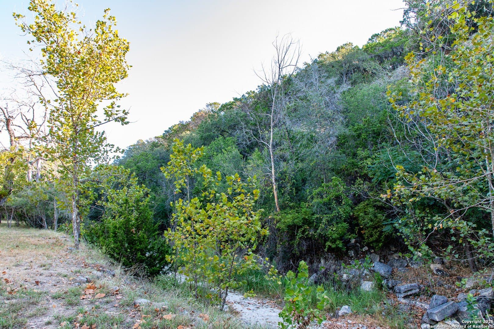 22.24 acres in Bandera County - photo 2