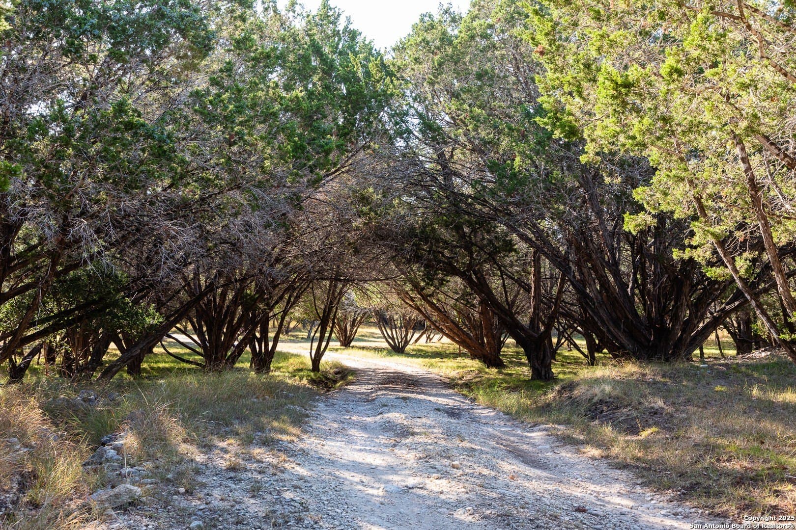 22.24 acres in Bandera County - photo 17