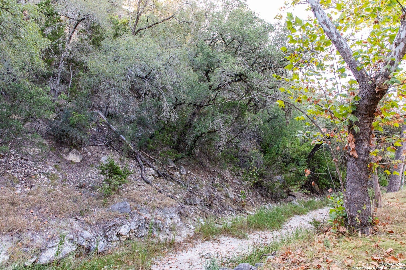 22.24 acres in Bandera County - photo 23